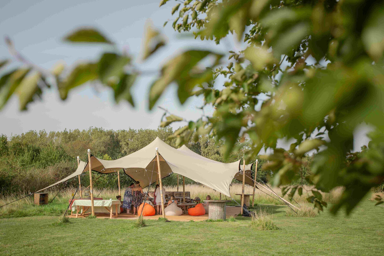 Branding portrait of a Lincoln chiropractor, photographed in her studio for a confident yet approachable look.